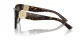 Dolce & Gabbana DG 4470 502/13