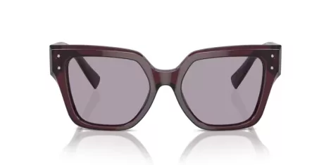 Dolce & Gabbana DG 4471 3045AK