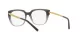 Dolce & Gabbana DG 5087 3385
