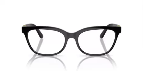 Dolce & Gabbana DG 5106U 501