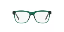 Dolce & Gabbana Kids DX 3356 3008