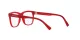 Dolce & Gabbana Kids DX 3356 3409