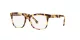 Dolce & Gabbana Kids DX 3356 512