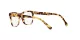 Dolce & Gabbana Kids DX 3356 512