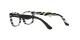 Dolce & Gabbana Kids DX 3357 3372 Dolce & Gabbana Kids DX 3357 3372