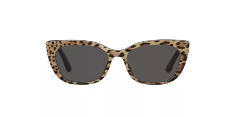Dolce & Gabbana Kids DX 4427 316387