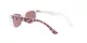 Dolce & Gabbana Kids DX 4427 3425E4