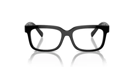 Dolce & Gabbana Kids DX 5002 501