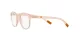 Dolce & Gabbana Kids DX 5095 3041 Dolce & Gabbana Kids DX 5095 3041