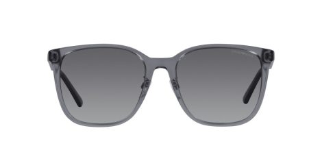 Emporio Armani EA 4206D 5029T3