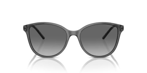 Emporio Armani EA 4220 610611