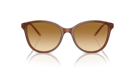 Emporio Armani EA 4220 61103B