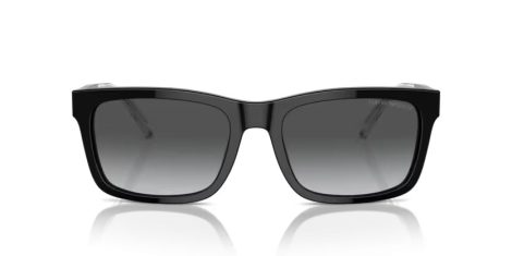 Emporio Armani EA 4224 5017T3