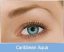 FreshLook Dimensions (2 lenti)