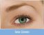 FreshLook Dimensions (2 lenti)