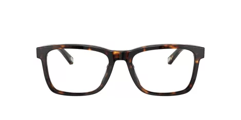 Coach C2104 HC 6166U 5120