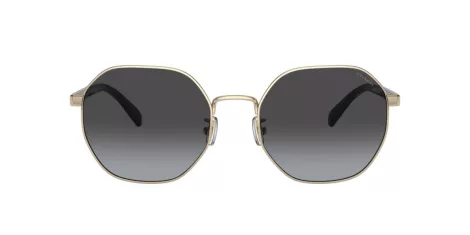 Coach Ch556 HC 7147 90058G