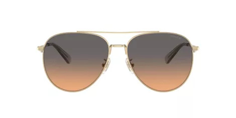 Coach Cw193 HC 7169 900518