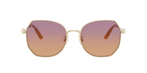 Coach Cad79 HC 7175 900578