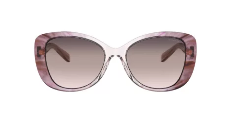 Coach C6183 HC 8322 5656U8