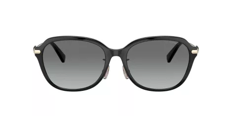 Coach C6199 HC 8332D 500211