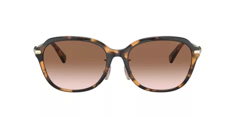 Coach C6199 HC 8332D 512013