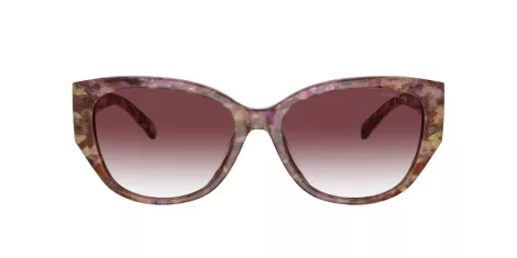 Coach Ch563 HC 8362U 57398H