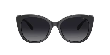 Coach Ch566 HC 8365U 5764T3