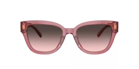 Coach Cl920 HC 8379U 580046