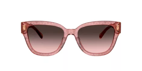 Coach Cl920 HC 8379U 583646