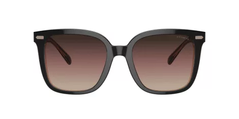 Coach Cl918 HC 8381U 5781E2