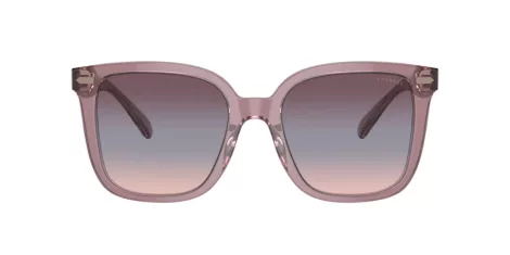 Coach Cl918 HC 8381U 57820J