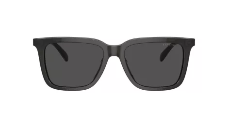 Coach Cl910 HC 8385U 579387