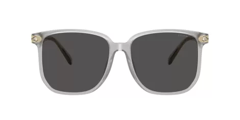 Coach Cw419 HC 8413BD 561487