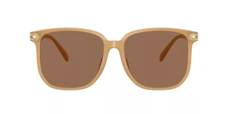 Coach Cw419 HC 8413BD 585473