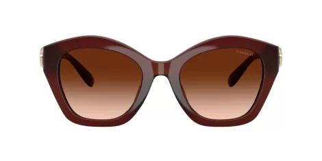 Coach Cad31 HC 8421U 584174