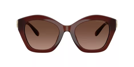 Coach Cad31 HC 8421U 5841T5