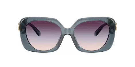 Coach Cad33 HC 8422U 5871U7