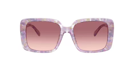 Coach Cad54 HC 8424U 58677W