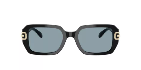 Coach Cad74 HC 8425U 500272