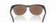 Oakley Frogskins Range OO 9284 19