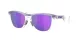 Oakley Frogskins Hybrid OO 9289 01