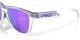 Oakley Frogskins Hybrid OO 9289 01