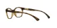 Oakley Tone Down OX 8168 02 Oakley Tone Down OX 8168 02