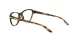 Oakley Twin Tail OY 8008 06 Oakley Twin Tail OY 8008 06