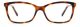 Pierre Cardin PC 8504 05L