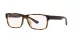 Polo PH 2237U 5003 Polo PH 2237U 5003