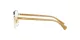 Ralph RA 6050 9116 Ralph RA 6050 9116