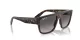 Ray-Ban Drifter RB 0360S 902/M3