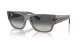 Ray-Ban Carlos RB 0947S 667571
